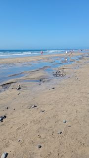 GC-Playa de Maspalomas 2026-110.jpg
